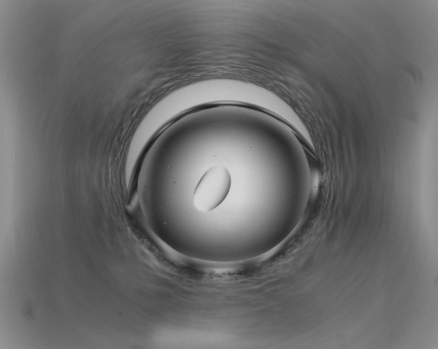 X0000115820231200911131451