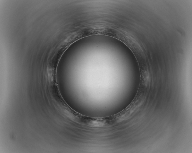 X0000115820232200911131451