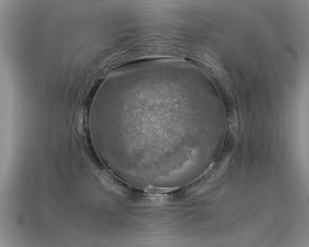 X0000115820233200911131451