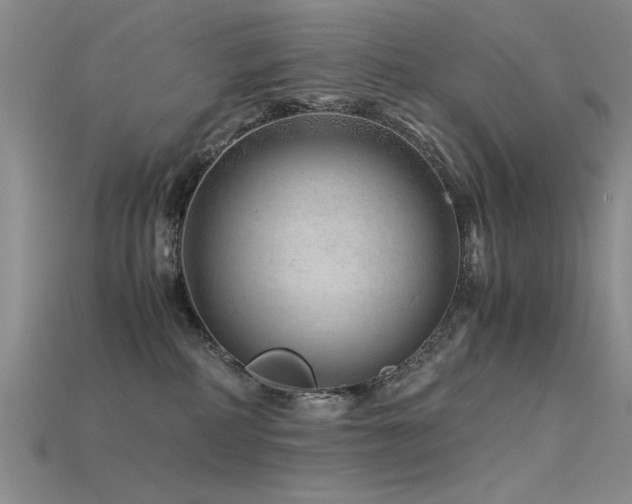 X0000115820234200911131451