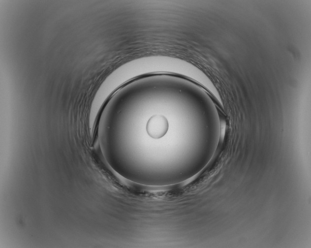 X0000115820235200911131451