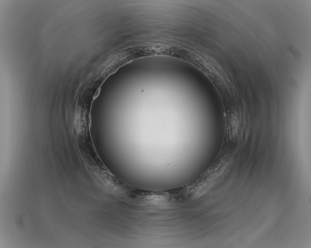 X0000115820236200911131451