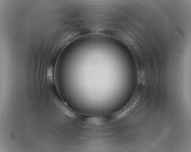 X0000115820238200911131450