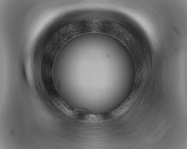 X0000115820239200911131450