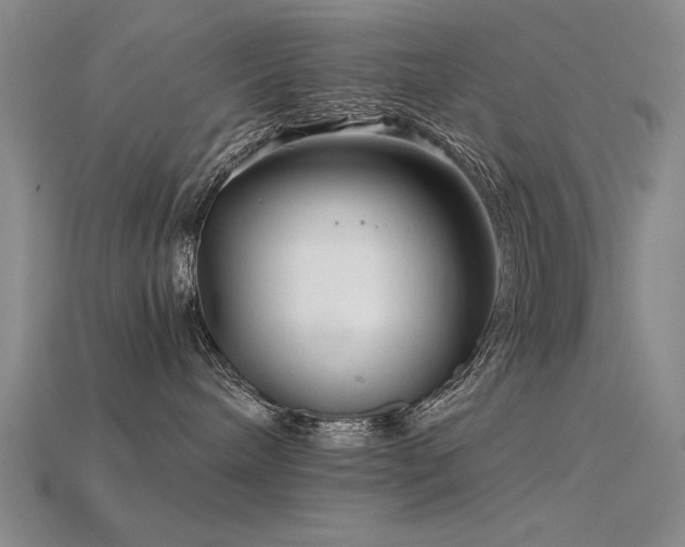 X0000115820240200911131450