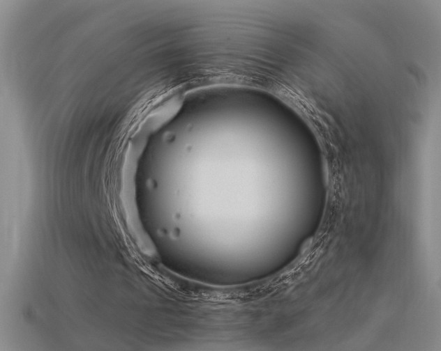 X0000115820241200911131450