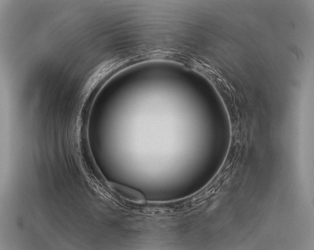 X0000115820242200911131450