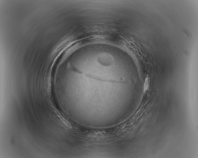 X0000115820243200911131450