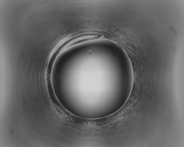 X0000115820244200911131450