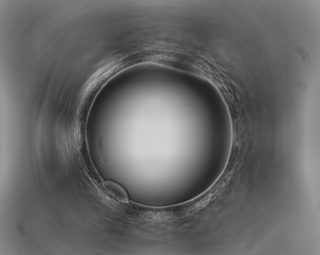 X0000115820245200911131450