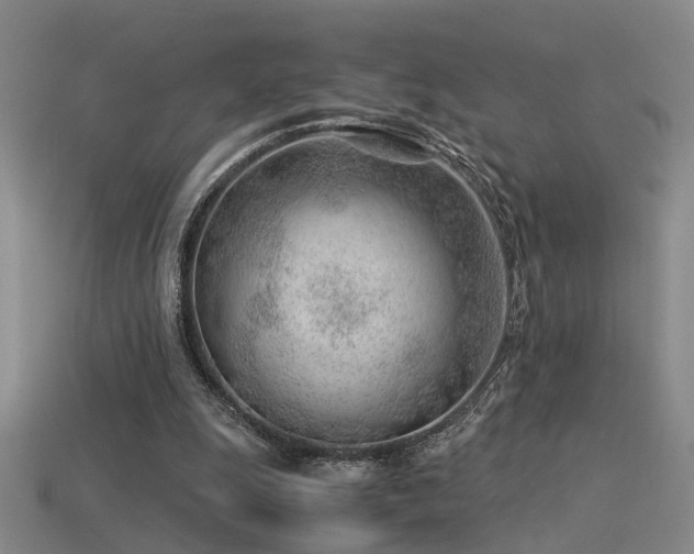 X0000115820247200911131450