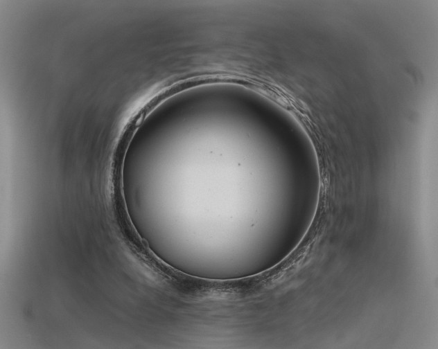 X0000115820248200911131450