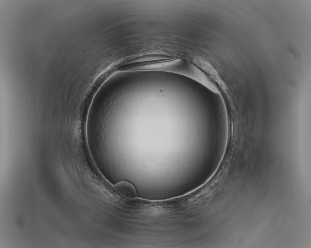 X0000115820249200911131450