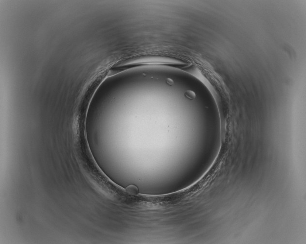 X0000115820250200911131450