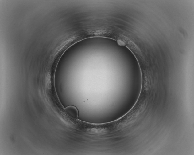 X0000115820251200911131450