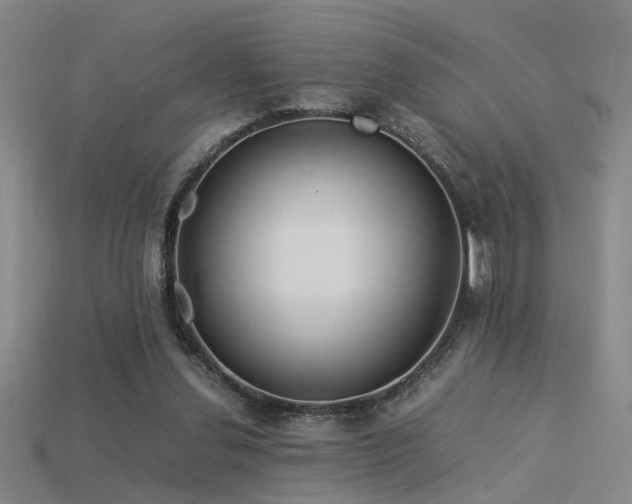 X0000115820252200911131450