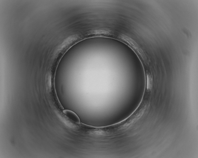 X0000115820253200911131450