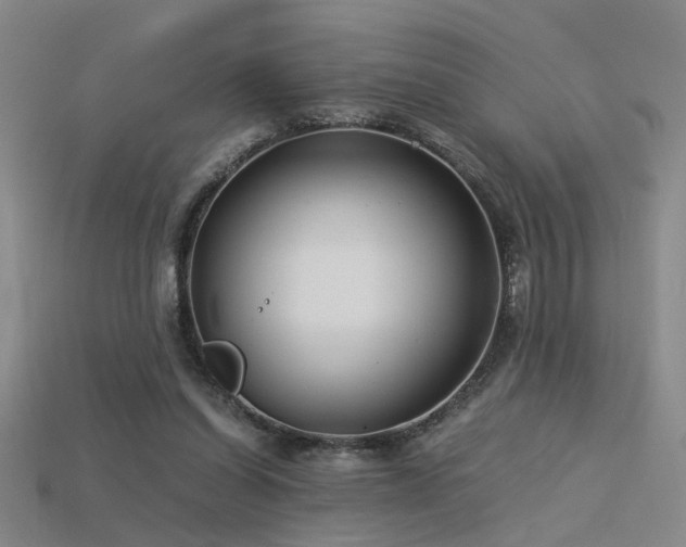 X0000115820254200911131450