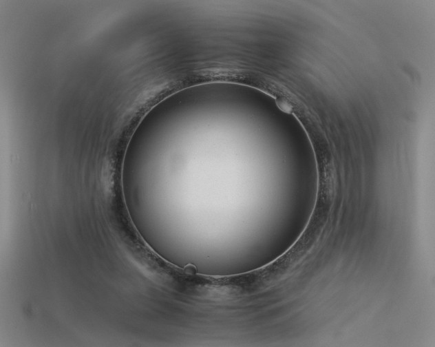 X0000115820255200911131450