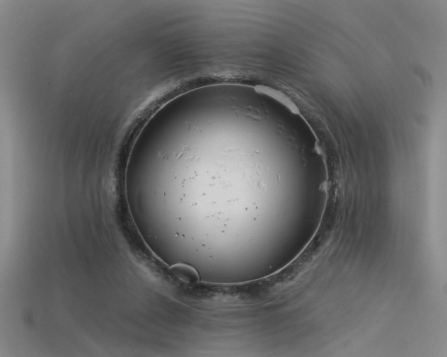 X0000115820256200911131450