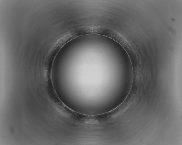 X0000115820258200911131450