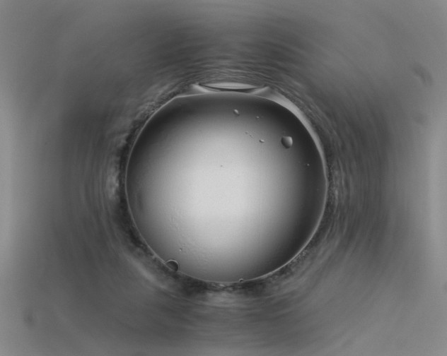 X0000115820259200911131450