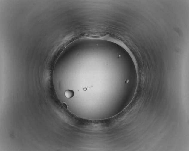 X0000115820260200911131450