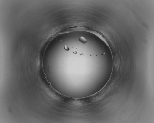 X0000115820261200911131450