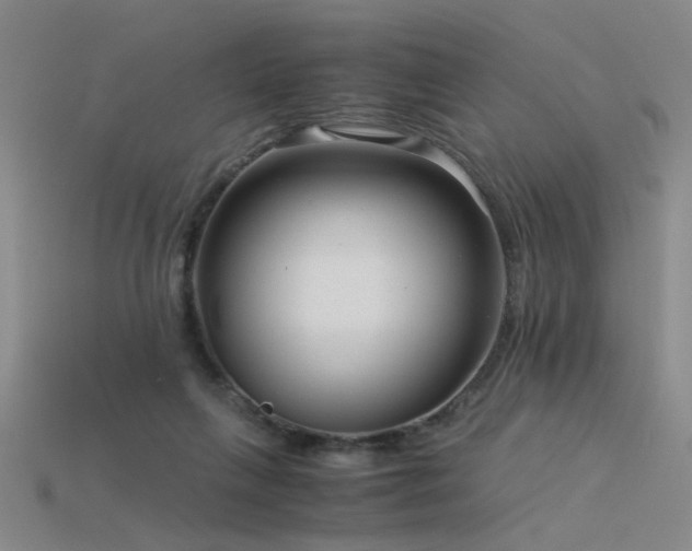 X0000115820263200911131450