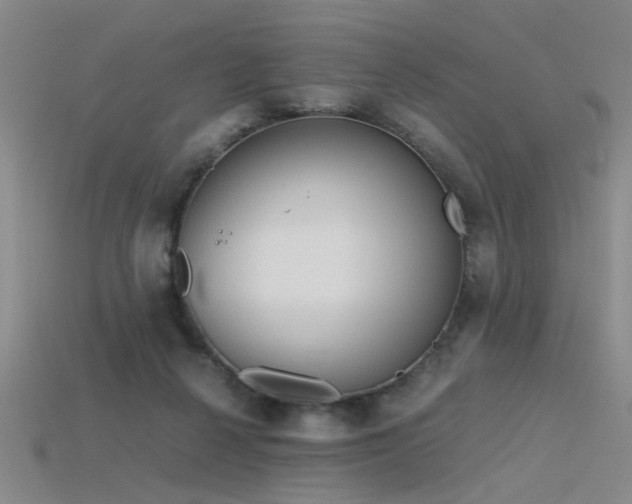 X0000115820264200911131450