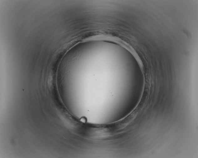 X0000115820266200911131450