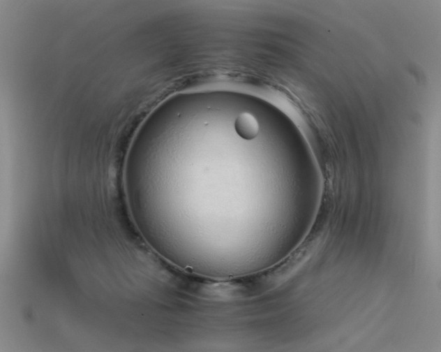 X0000115820269200911131450