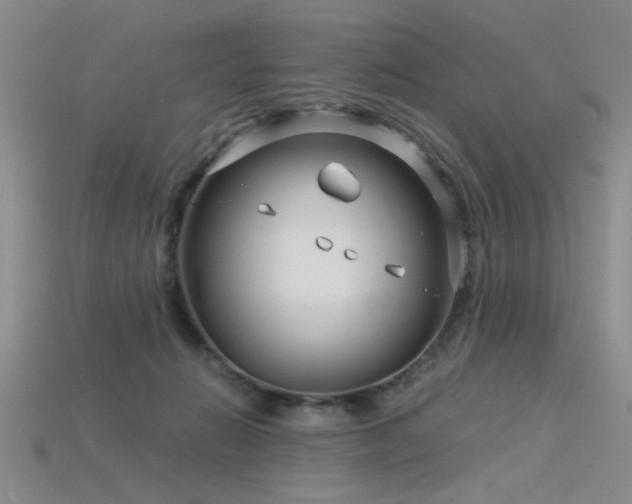 X0000115820270200911131450