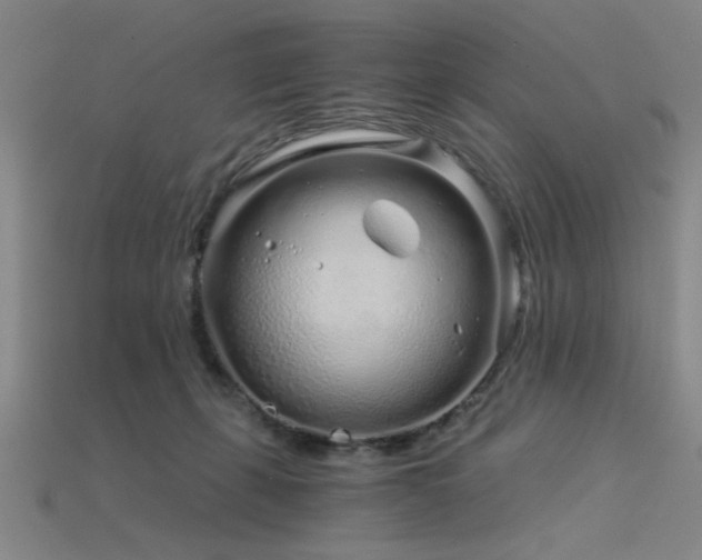 X0000115820271200911131450