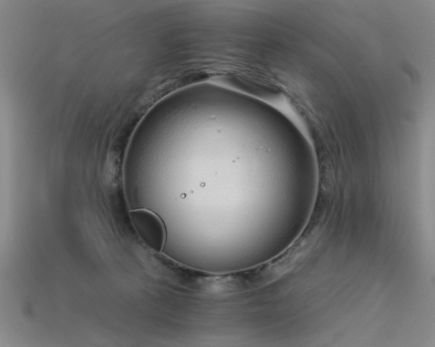 X0000115820273200911131450