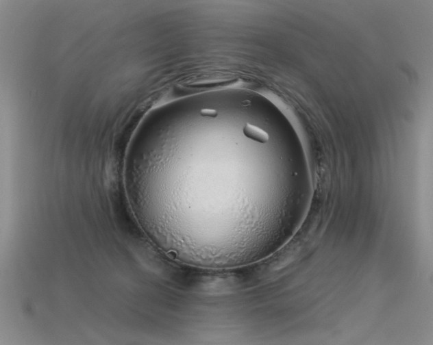 X0000115820274200911131450