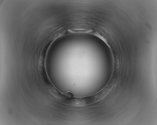 X0000115820275200911131450