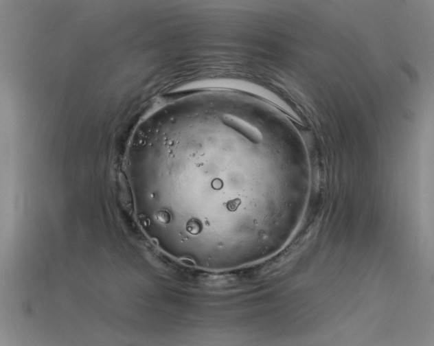 X0000115820277200911131450