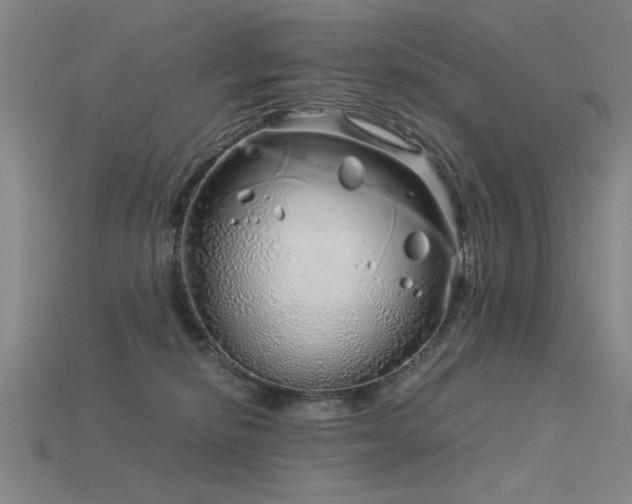 X0000115820278200911131450