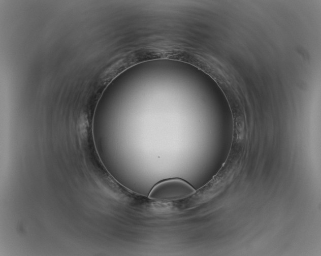 X0000115820279200911131450