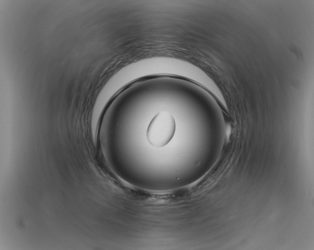 X0000115820280200911131450