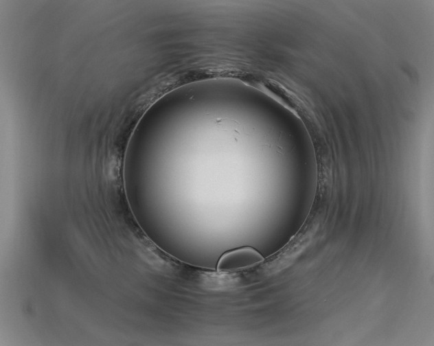 X0000115820281200911131450