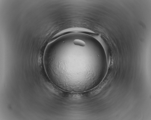 X0000115820282200911131450