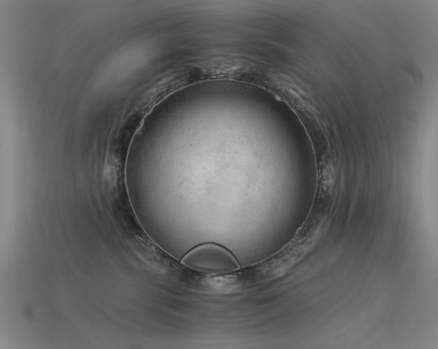 X0000115820283200911131450