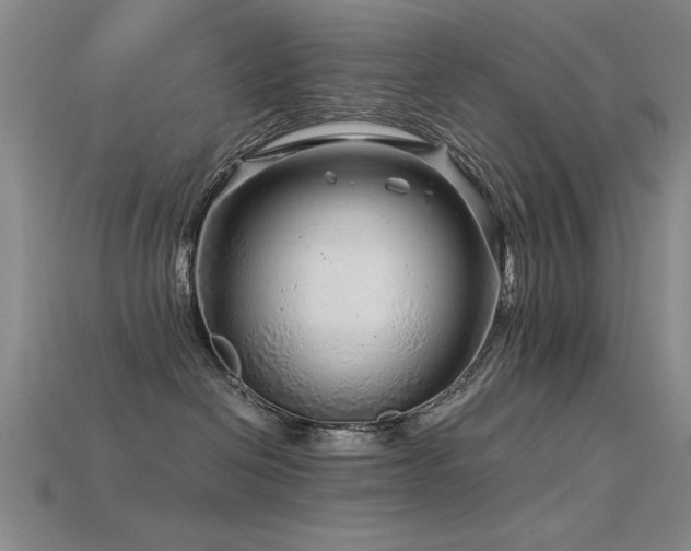 X0000115820286200911131450