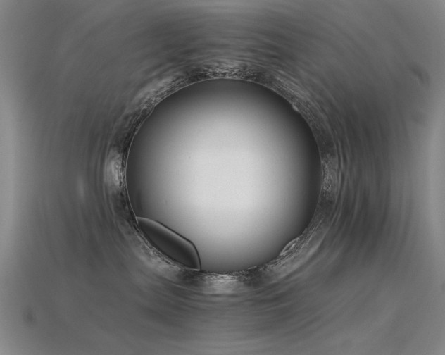 X0000115820287200911131450