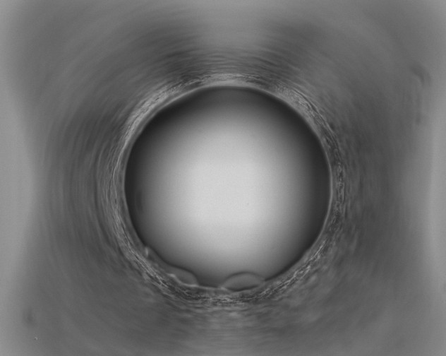 X0000115820289200911131450