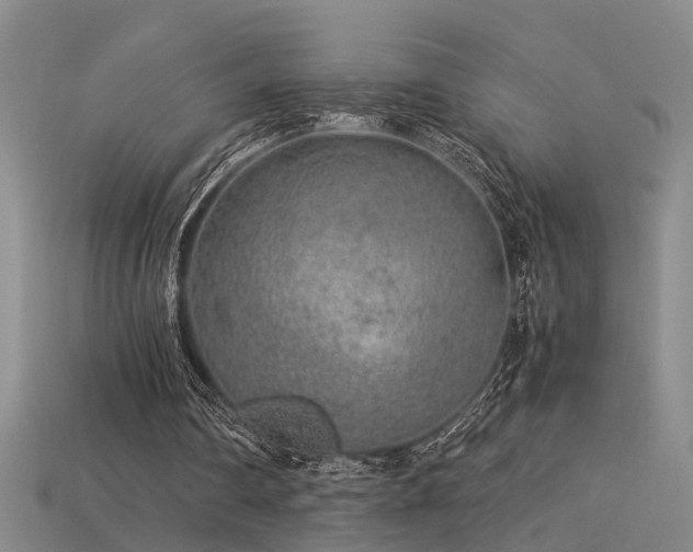 X0000115820290200911131450