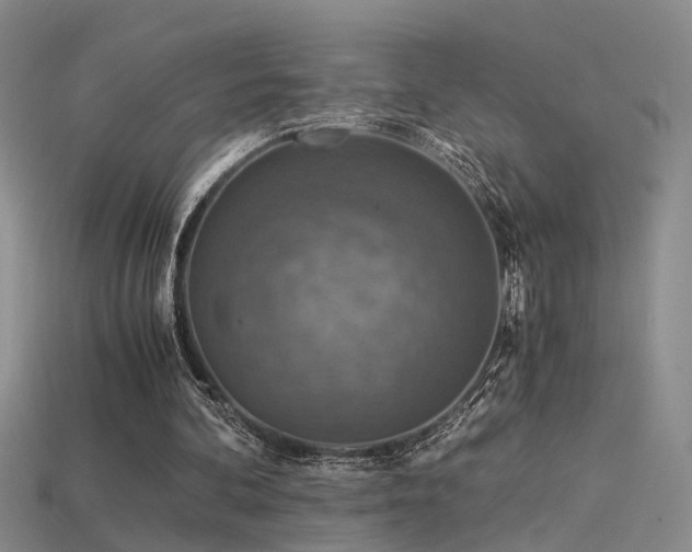 X0000115820292200911131450