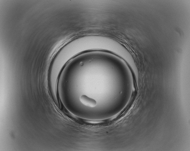 X0000115820293200911131450